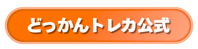 どっかんトレカ公式ボタン(オレンジ)