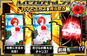 DOPAのハイビスカス演出の説明